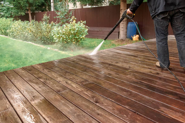 Best Roof Washing  in Lumber City, GA